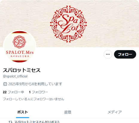 公式X