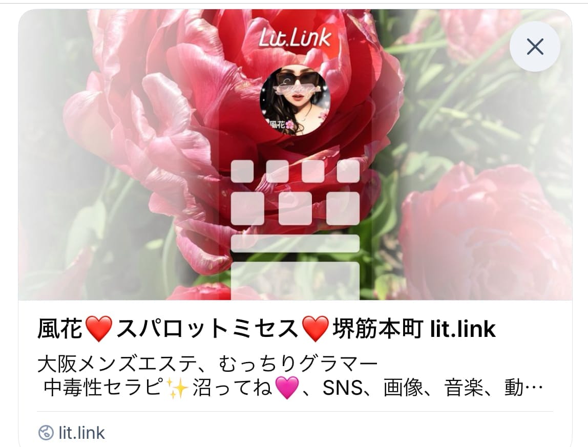litlinkを更新しました(๑╹ω╹๑)